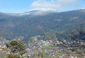 Gemalen maïs