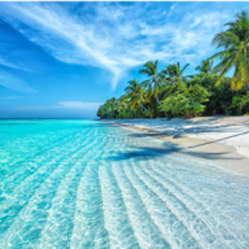 Strandvakantie - 12.788 Appartementen & Vakantiehuizen