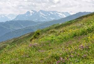 Eerste vakantieregio in het Zillertal