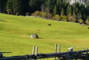 Salzburg Saalachtal