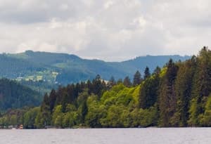 Vakantiebestemming in het Zwarte Woud