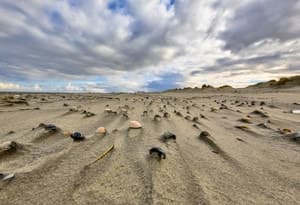 Waddeneilanden