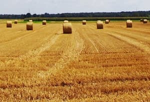 Wendland en Elbtalaue