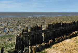 Waddenkust