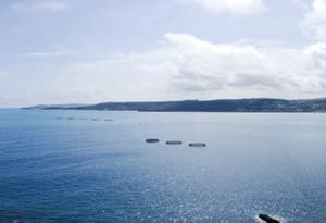 Malta (eiland)